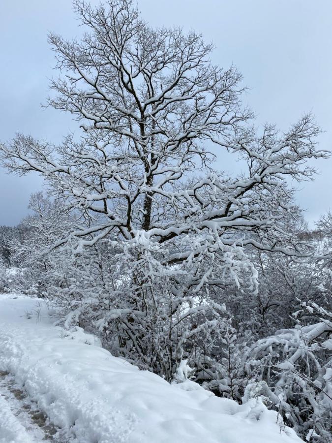Chalet Le Grand Cerf 불랑쥬 외부 사진