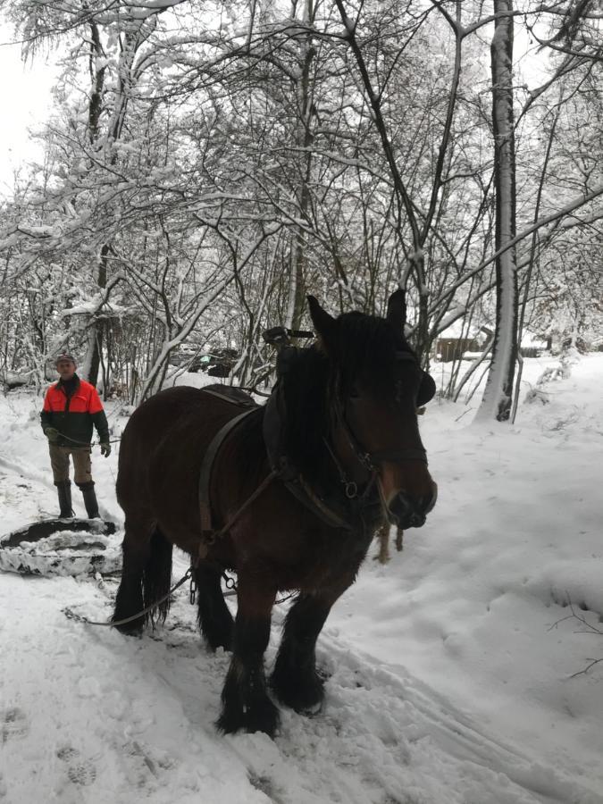 Chalet Le Grand Cerf 불랑쥬 외부 사진