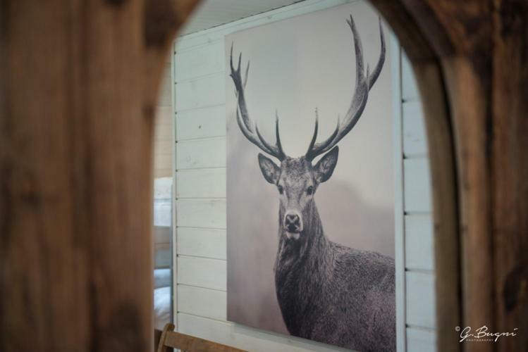 Chalet Le Grand Cerf 불랑쥬 외부 사진